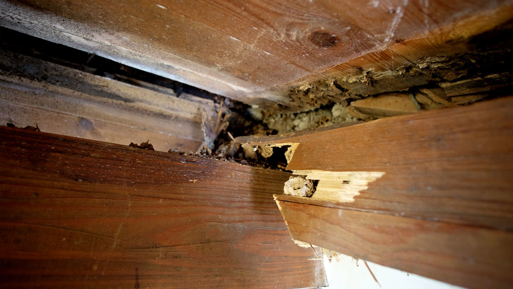 Agevolazioni fiscali riparazioni e ristrutturazioni legno