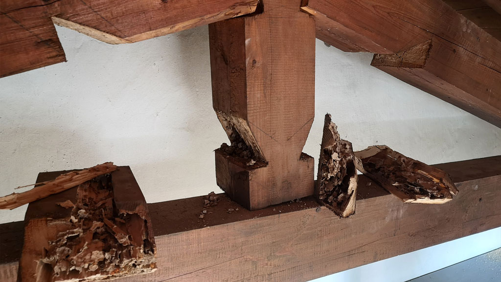 agevolazioni fiscali per travi in legno